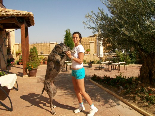 Milu y yo en el jardin jugando Milu y yo en el jardin jugando